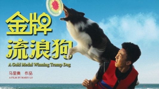 金牌流浪狗