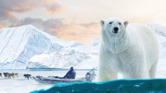 Arctic: Our Frozen Planet