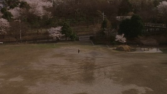 青い春