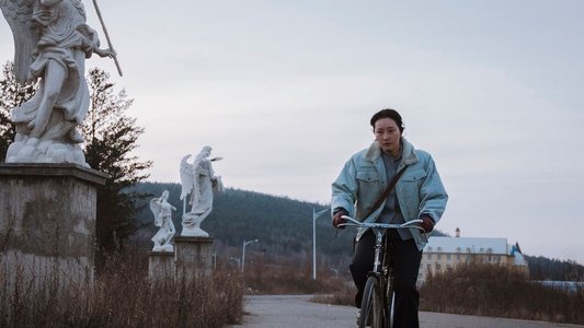 日光之下