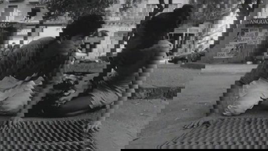El maravilloso mundo del pájaro Cúcù