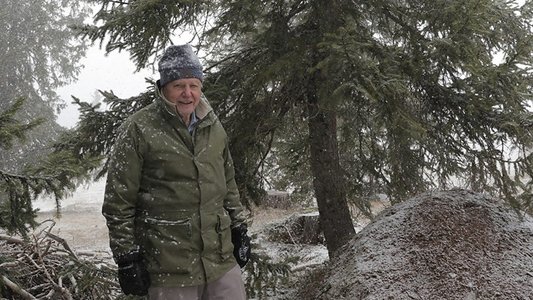 Attenborough and the Empire of the Ants
