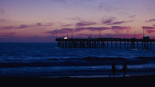 La La Land