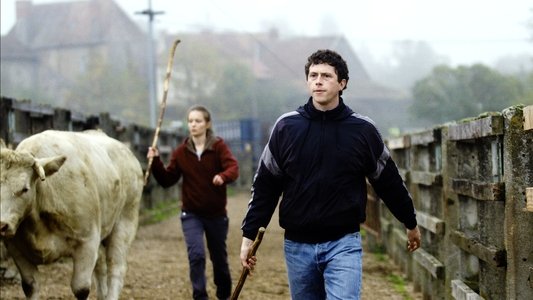 La Terre des hommes