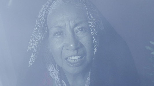 Doña Ninfa