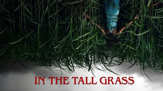In the Tall Grass