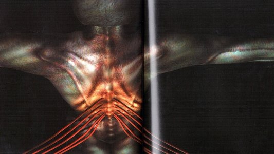 Tool: Salival