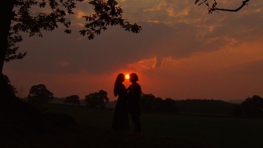 The Princess Bride