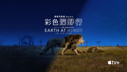 Earth at Night in Colour