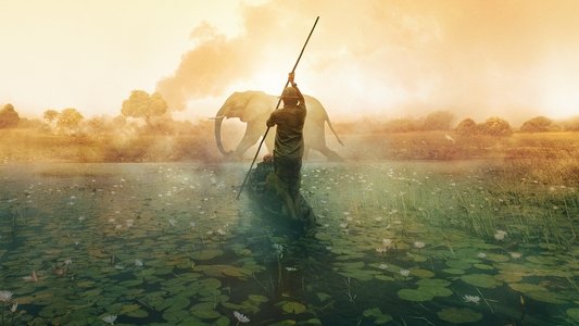 Into the Okavango