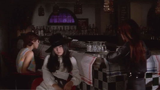 野良猫ロック　マシン・アニマル