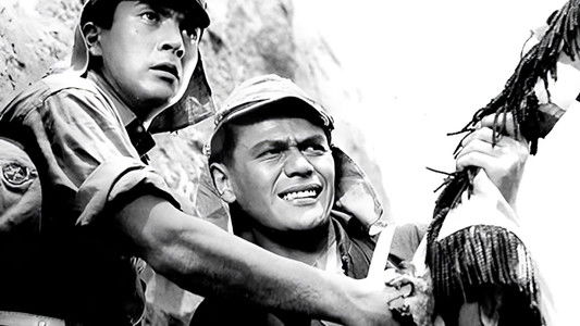 独立愚連隊西へ