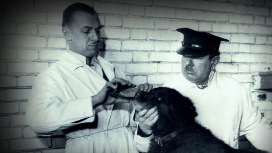 Balto - helten fra Alaska