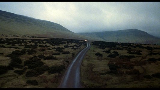 An American Werewolf in London