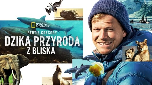 Animals Up Close with Bertie Gregory