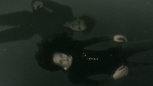 The Twilight Saga: New Moon