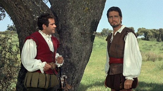 Il magnifico avventuriero