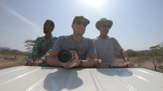 Rogue Trip