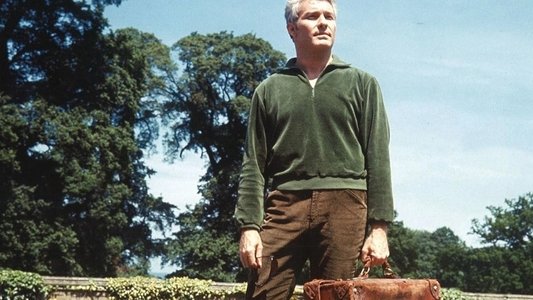Man in a Suitcase