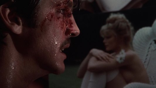 Star 80