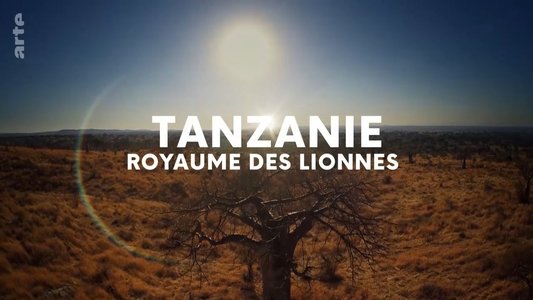 Lion Dynasty: A Matter of Pride