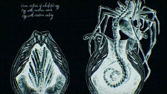 Alien: Covenant - Epilogue: Advent