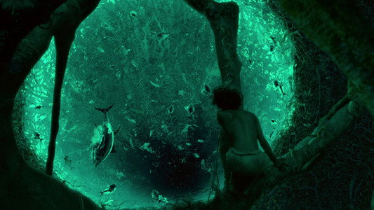 Life of Pi
