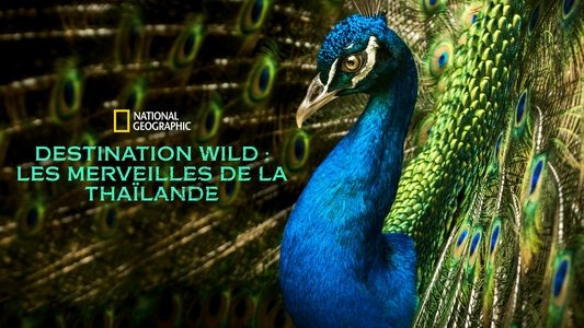 Thailand's Wild Side