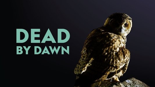 Dead By Dawn