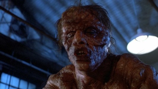 The Fly