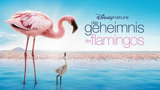The Crimson Wing: Mystery of the Flamingos