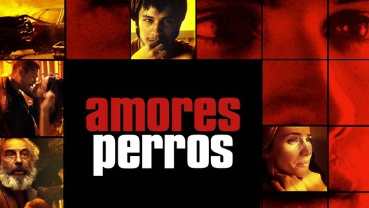 Amores perros