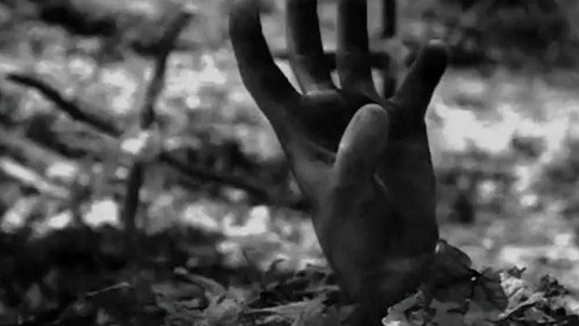 Graveyard Alive: A Zombie Nurse in Love