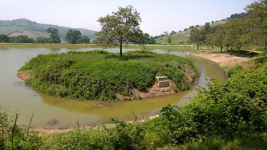 خواستگاری؟!