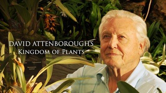 Kingdom of Plants