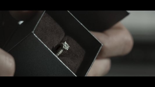 L'Homme qui Aimait les Fleurs