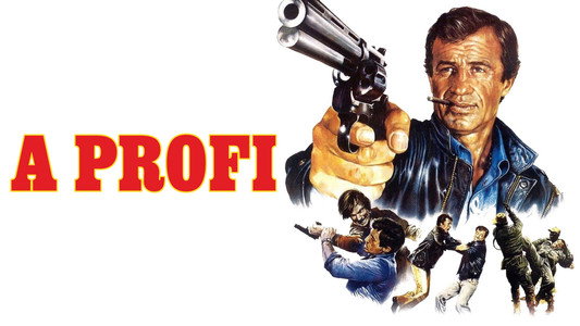 Le Professionnel