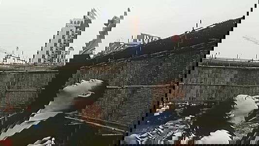 美丽新世界