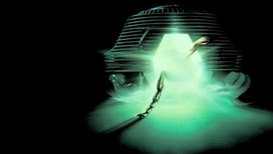 The Fly