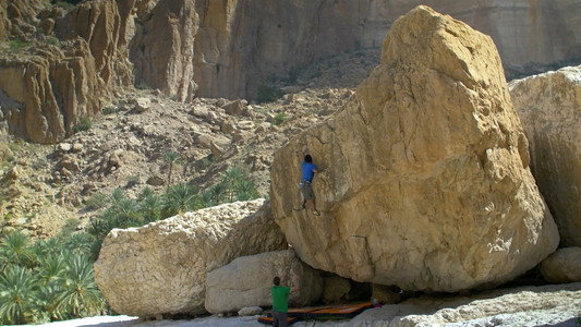 Valley Of Giants