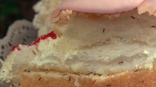 Picnic at Hanging Rock