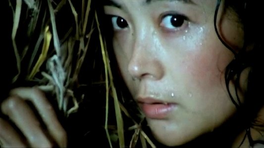 湘女萧萧