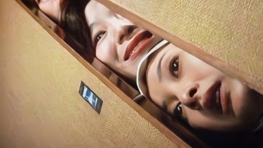 実録（秘）通勤痴女日記
