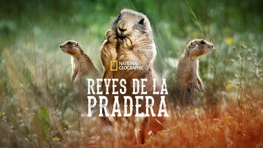 Prairie Dog Manor