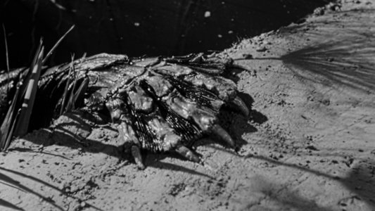 Creature from the Black Lagoon