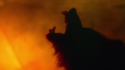 The Howling