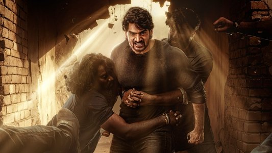 భజే వాయు వేగం