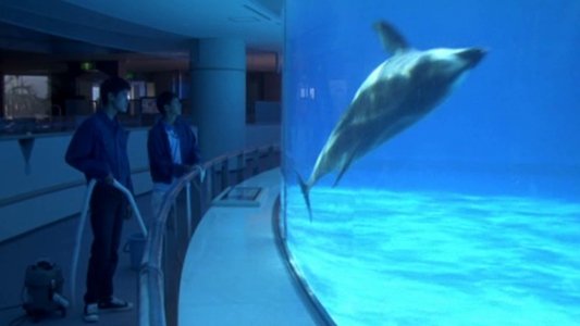 水の中の八月