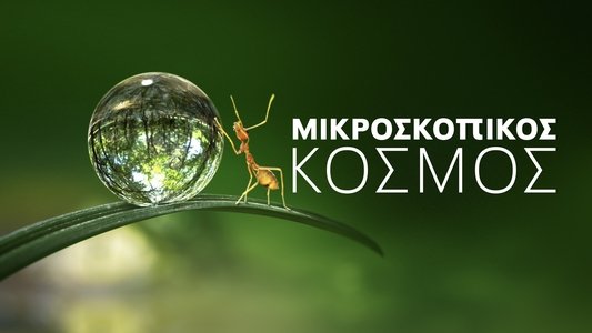 Tiny World