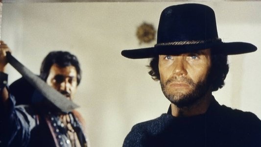 Django il bastardo